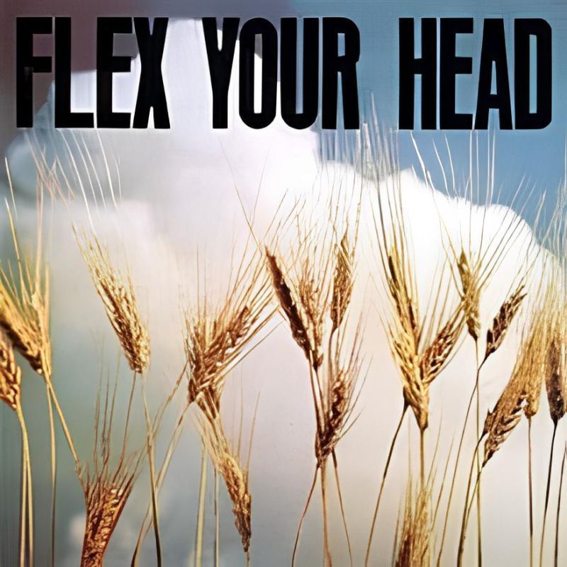 Flex Your Head